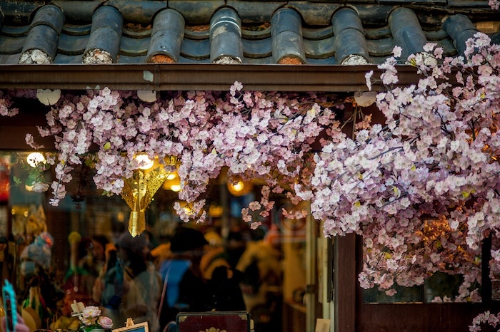 Décoration de vitrine de magasine avec fleurs d'arbre fruitier, fond ecran paysage, fond ecran nature, image de printemps, 