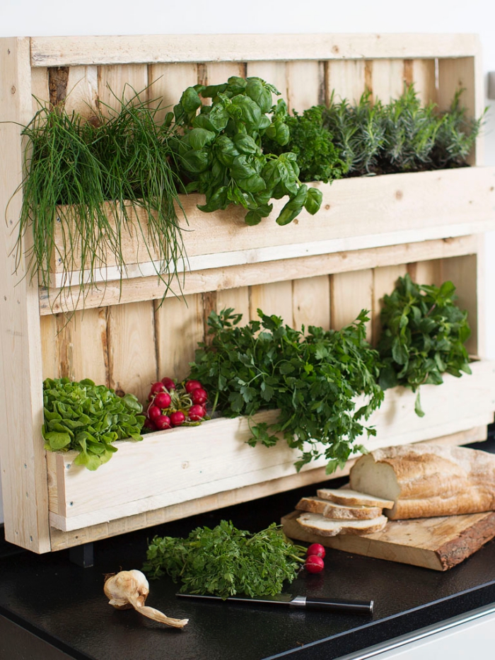 une palette en bois détournée en mini-jardin d'herbes aromatiques posé au mur de la cuisine pour avoir ses condiments préférés à la portée de main