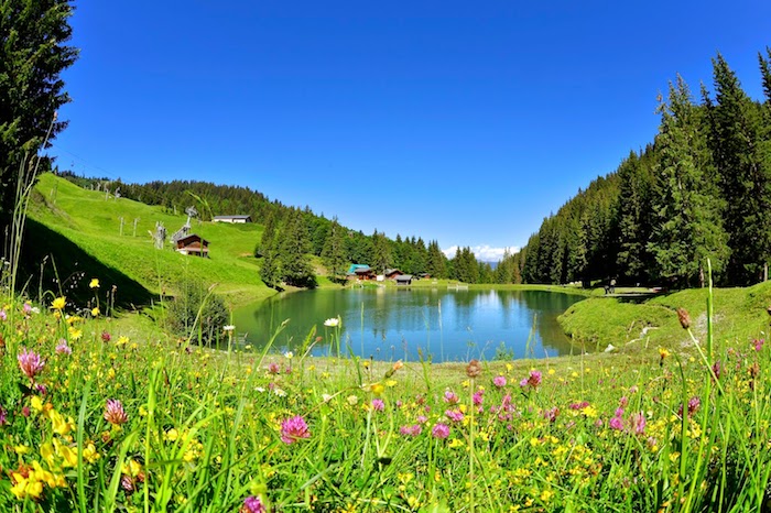 Paysage de printemps, paysage champêtre fond d'écran, champ fleurie avec un lac au mileu et petits maisons chalets