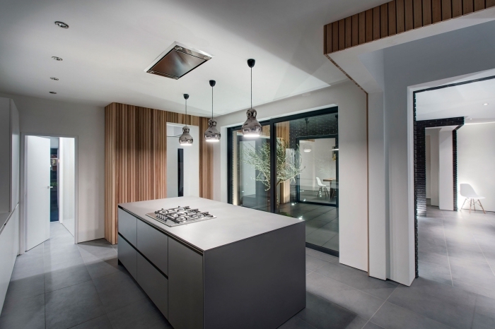 intérieur luxueux et contemporain dans une cuisine grise et bois, plan de cuisine avec îlot central en gris métallisé