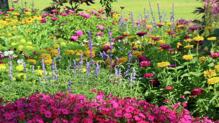 jardin vert avec massifs de fleurs, plusieurs espèces plantées l'une près de l'autre