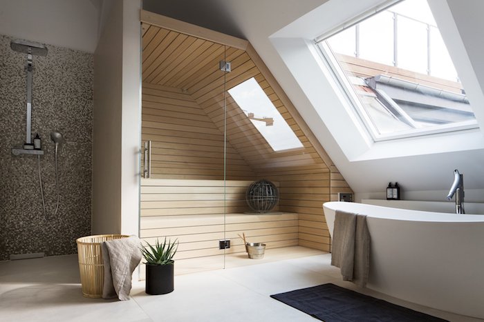 salle de bain douche et baignoire avec une salle de spa, fenetre de toit, sol au carrelage beige clair, plante salle de bain succulente