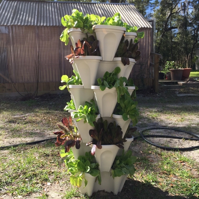 comment planter des salades hors sol, potager vertical avec salades vertes dans des pots empilables