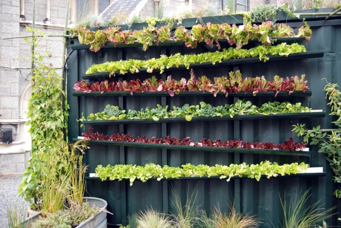 potager vertical mural réalisé à partir des gouttières recyclées, faire pousser des plants salades dans des gouttières