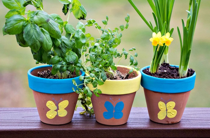 exemple de pot de fleur diy personnalisé à empreintes de doigt de peinture jaune et peinture bleue avec des plantes à l intérieur