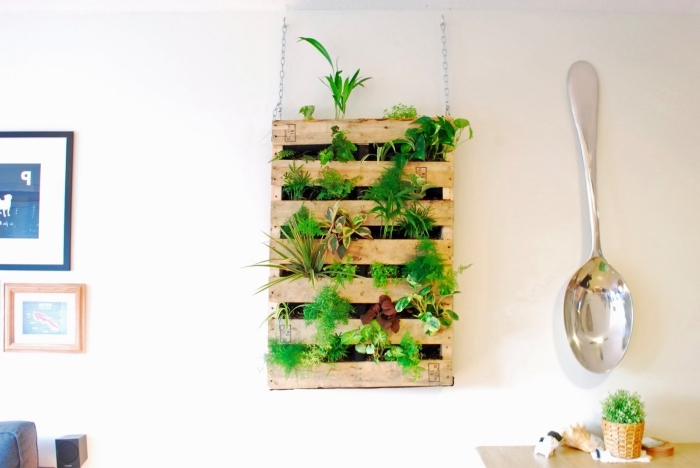 recyclage palette jardinière verticale suspendue au mur intérieur, plantée avec des herbes aromatiques