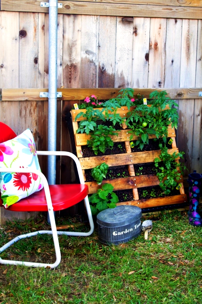 une jardiniere palette avec des plantes aromatiques et des légumes adossée à la clôture, réaliser un potager vertical dans une palette recyclée