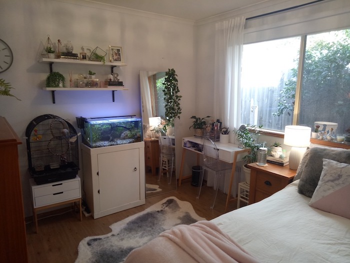 Tumblr chambre à coucher ado, aquarium et cage oiseau, vue foret, idée chambre ado décoration chambre à coucher pinterest