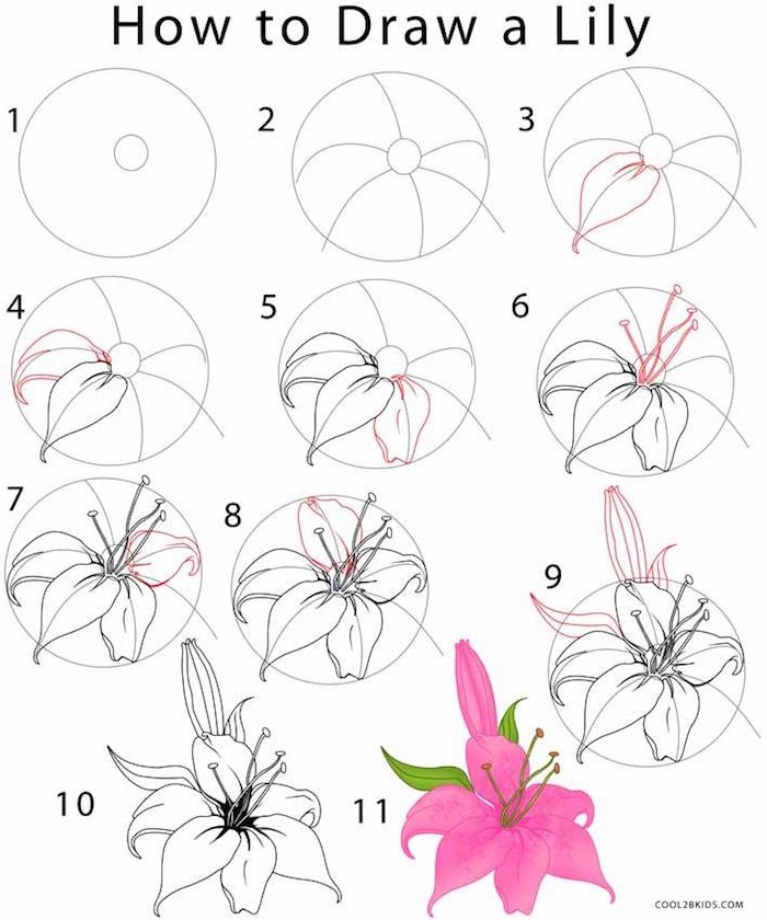 Comment dessiner une fleur de lys, inspiration commencer a dessiner fleur rose dessin etape par etape 