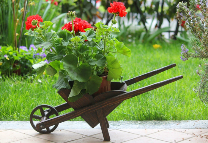 brouette en bois, fleurs plantées, herbe fraîche, idee deco jardin avec objets récupérés