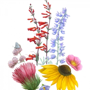 Le dessin de fleur - astuces et idées pour apprendre comment dessiner une fleur