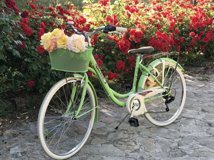 vélo vert, panier comme bac de fleurs avec roses plantées, haie de roses fleuries