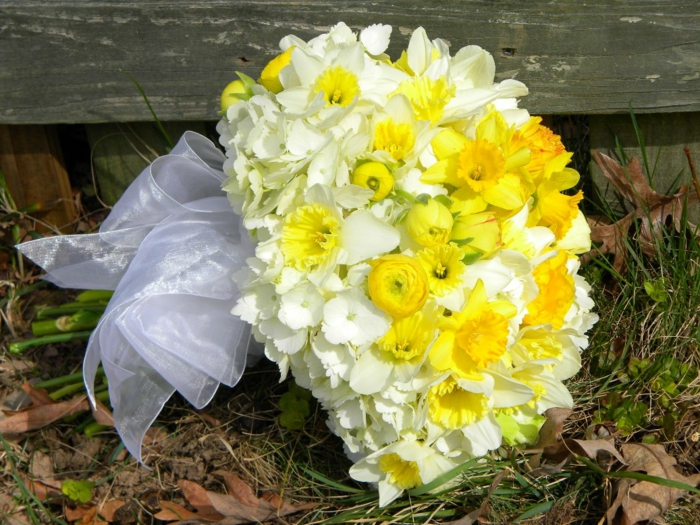 bouquet de mariée de jonquilles, ruban blanc satiné, bouquet mariage jaune posé sur l'herbe