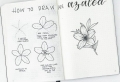 Le dessin de fleur – astuces et idées pour apprendre comment dessiner une fleur