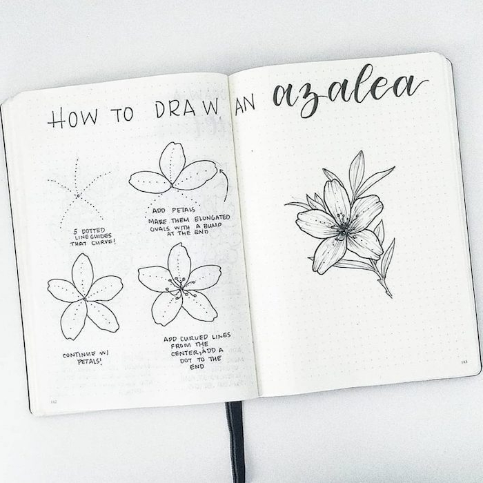 Cahier d'esquisses coloriage fleur azalea simplifié dessin, s'inspirer pour réaliser le plus beau dessin