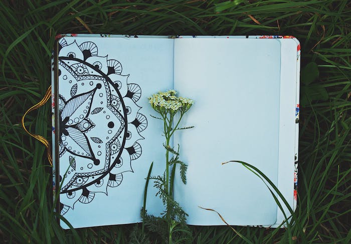 Champêtre fleur et cahier de croquis, fleur mandala, fleur de printemps dessin de rose dessiner pour débutants