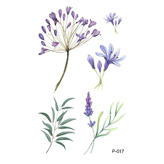 Violet fleurs sauvages, le plus beau dessin du monde dessin etape par etape 