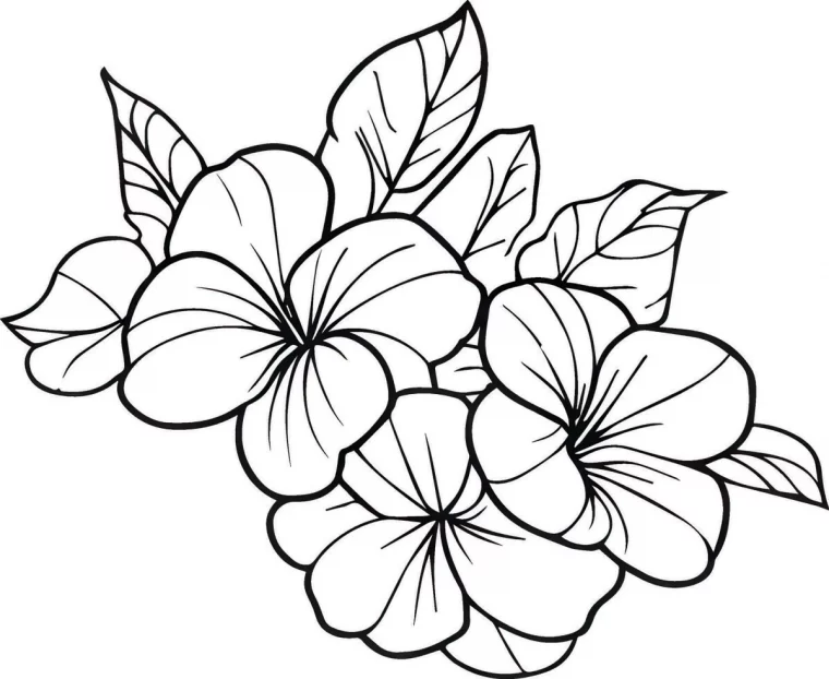 coloriage fleur a imprimer feuilles lignes petales art