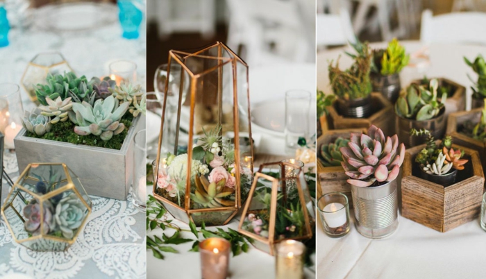 petite déco de table, succulentes plantées, pots de fleurs en bois, décorations florales de table de mariage