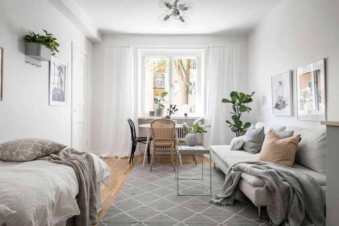 salle à manger, salon et chambre à coucher dans une seule et même pièce, studio étudiant style nordique, deco gris et blanc