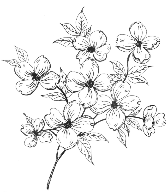 Noir et blanc dessin simplifié bouquet de fleurs dessin beau idée de dessin fleur noir et blanc