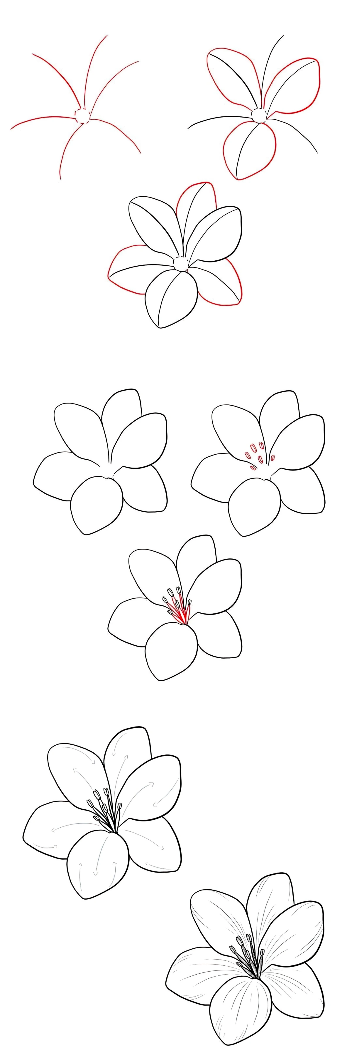 Dessiner Des Fleurs Facilement Le Guide Complet Que J aurais Ador Dessiner Des Fleurs Facilement Le Guide Complet Que J aurais Ador