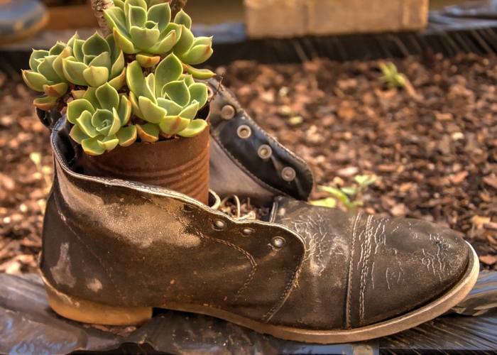soulier en cuir avec succulentes plantées en pot de conserve, deco recup jardin avec objets simples