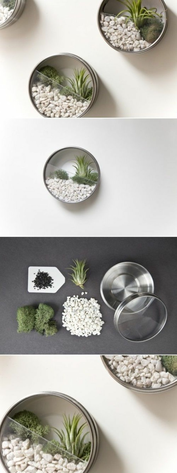 idée comment créer un mini terrarium facile, bricolage avec canette, recycler une boîte de conserve aluminium