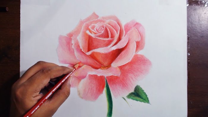 Dessin rose en rose avec pétales 3d effet, dessin de rose fleur dessin couleur paysage fleurie