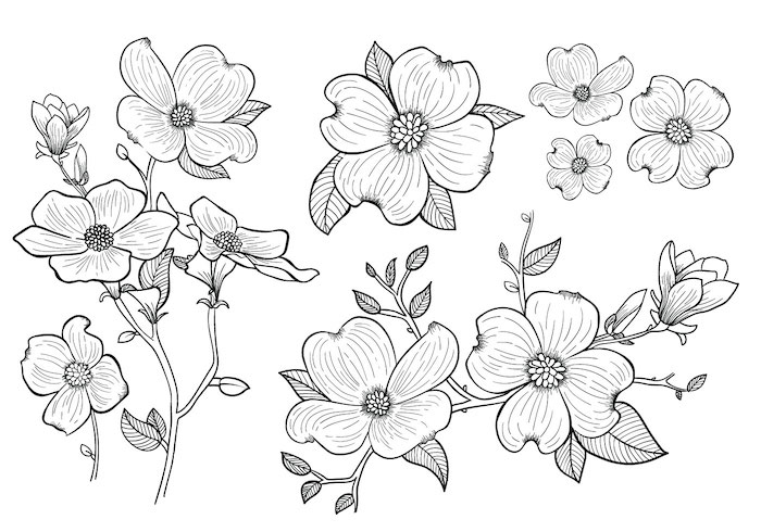 Les plus belles fleurs noir et blanc dessin, different angles de meme fleur dessin facile a reproduire par etape idée de dessin à reproduire