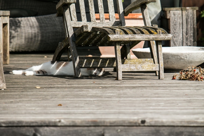 chaise en bois, chat qui se repose sur une terrasse en bois, vieil évier en pierre