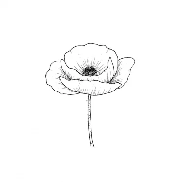 modele dessin facile coquelicot idee coloriage simple fleur