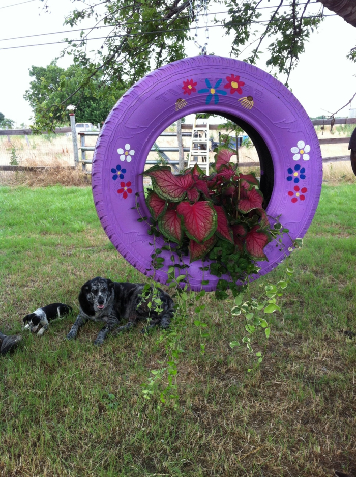 pneu lilas accroché à un arbre, utilisé comme pot suspendu, plantes, dessins de fleurs, chiens