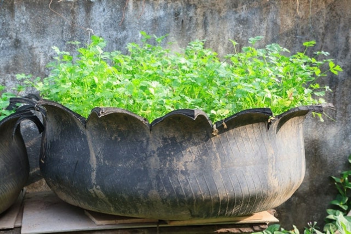 pneu recyclé pot de fleur, déco pour le jardin à fabriquer soi-même, deco recup pneus