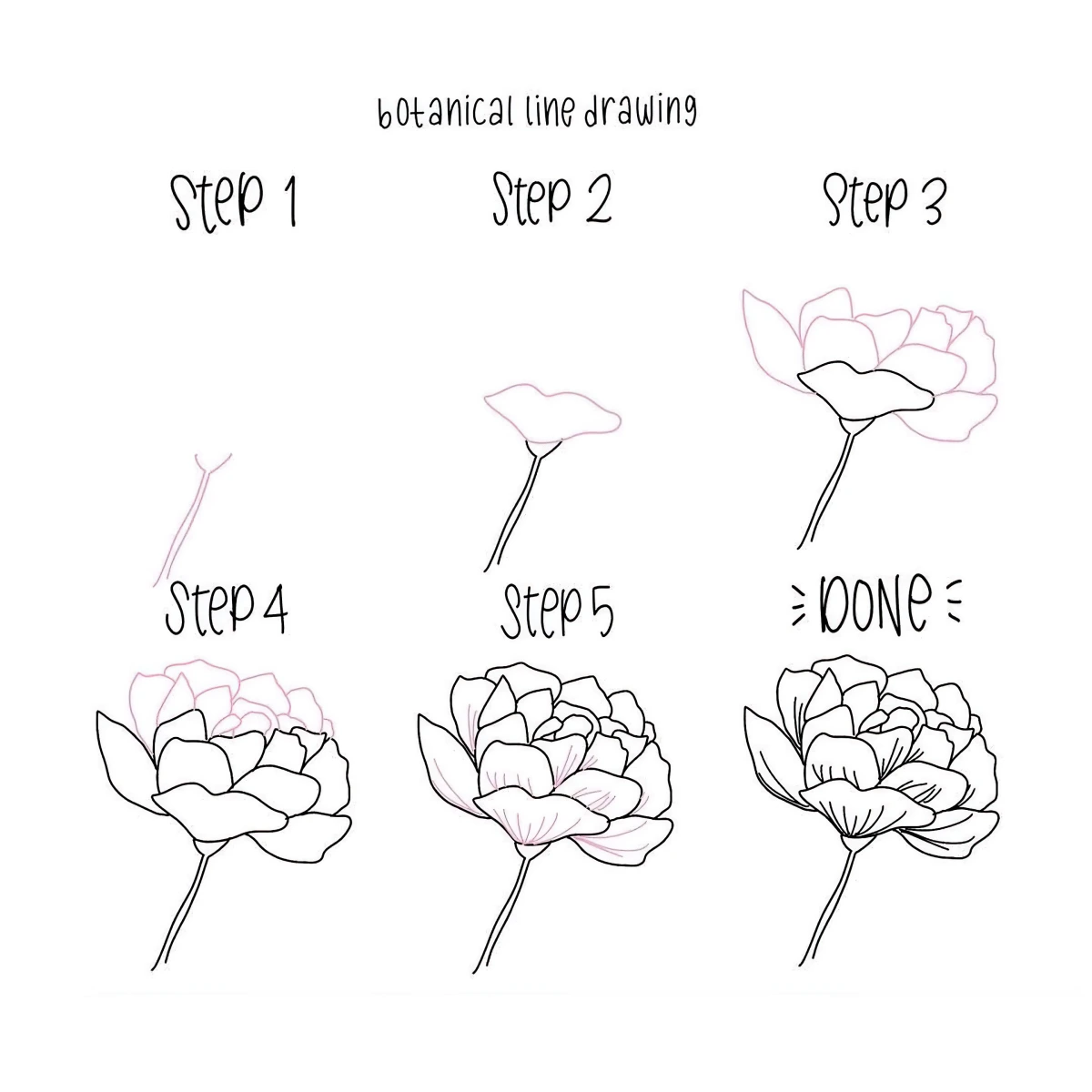 tutoriel comment dessiner une fleure facile rose petales