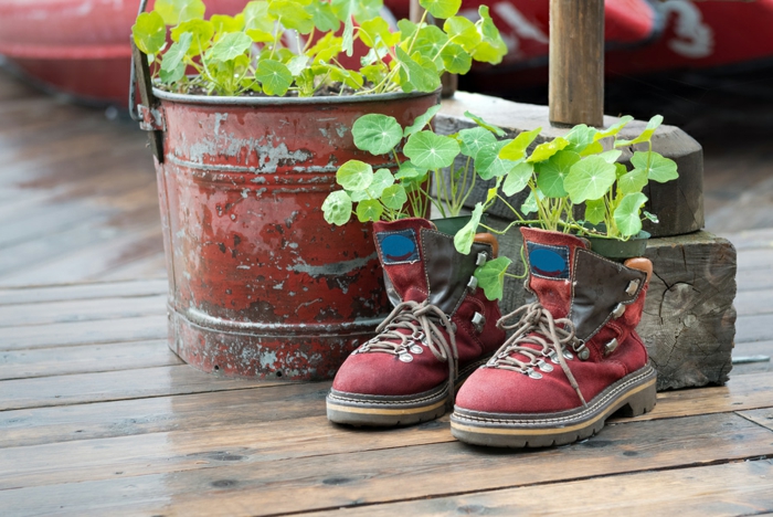 chaussures avec des fleurs plantées, sol en planches, vieux sceau métallique avec cultures plantées