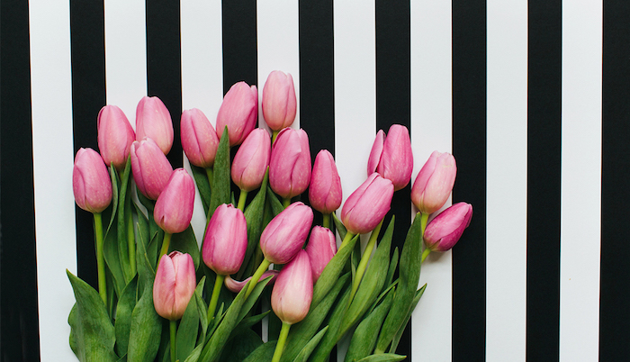 Tulipes roses, fleurs de printemps carte fête des mères, idee fete des meres, bouquet de fleurs printanières au fond noir et blanc 