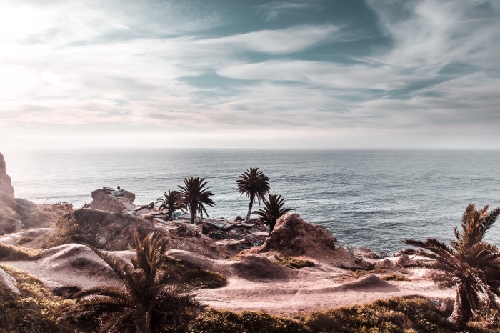 quel fond ecran ete choisir pour son pc, exemple de photo magnifique avec paysage au bord de la mer et palmiers