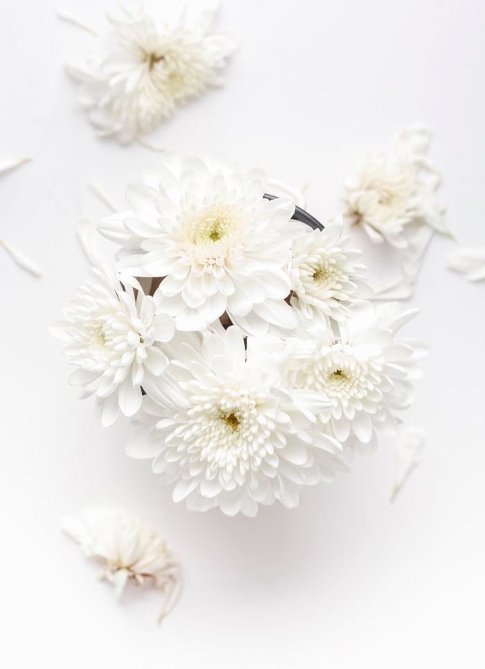 photo douceur avec fleurs blanches, joli fond d écran pour téléphone portable, idée wallpaper pour le printemps