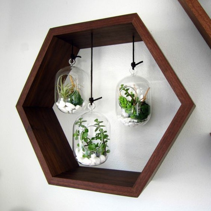 terrariums en petits bocaux, cage cire d'abeille en bois, mur gris pâle, decor mural créatif