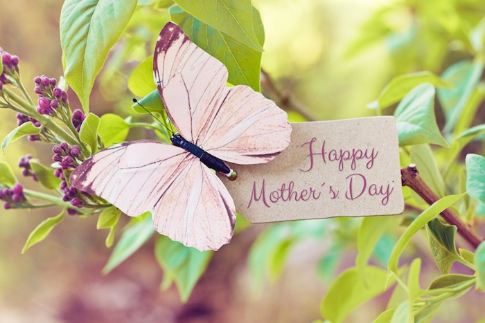 Papillon qui dit bonne fête, branche fleurie, image de printemps, envoyer message à maman, bonne fête des mères, image fete mere