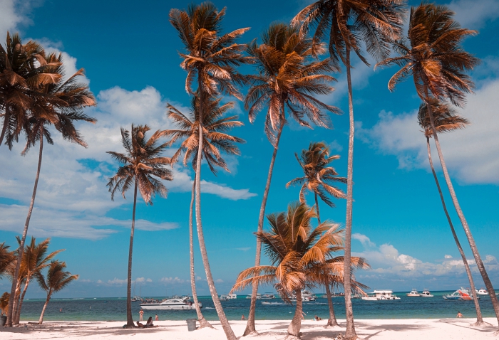 idée fond ecran ete avec palmier et plage, exemple wallpaper pour ordinateur avec paysage exotique, prendre de jolies photos