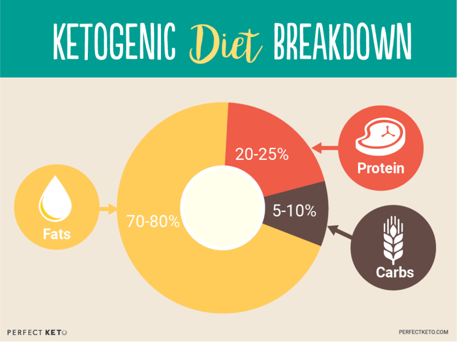 quoi manger pour maigrir, infographie comment suivre le régime cétogène, apport quotidien ration de protéine, glucides et limpides