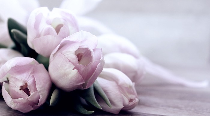 Belle photo de tulipes bouquet, image fête des mères, cadeau fete des meres, les plus belles photos, tulipes roses 