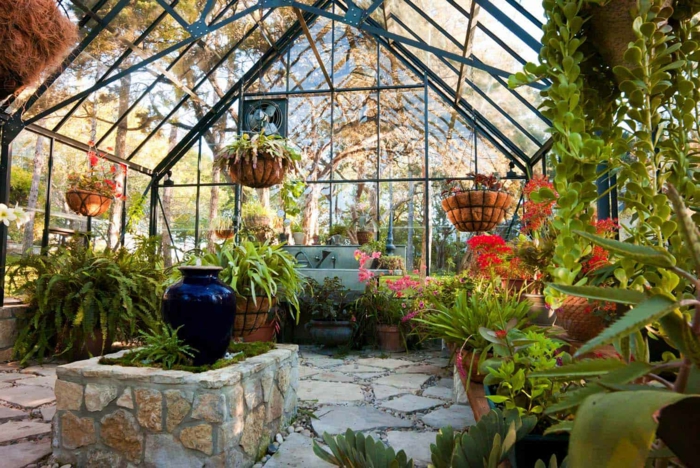 jardin dans véranda, sol en pierre, verrière avec pots suspendus et plantes, pot d'argile