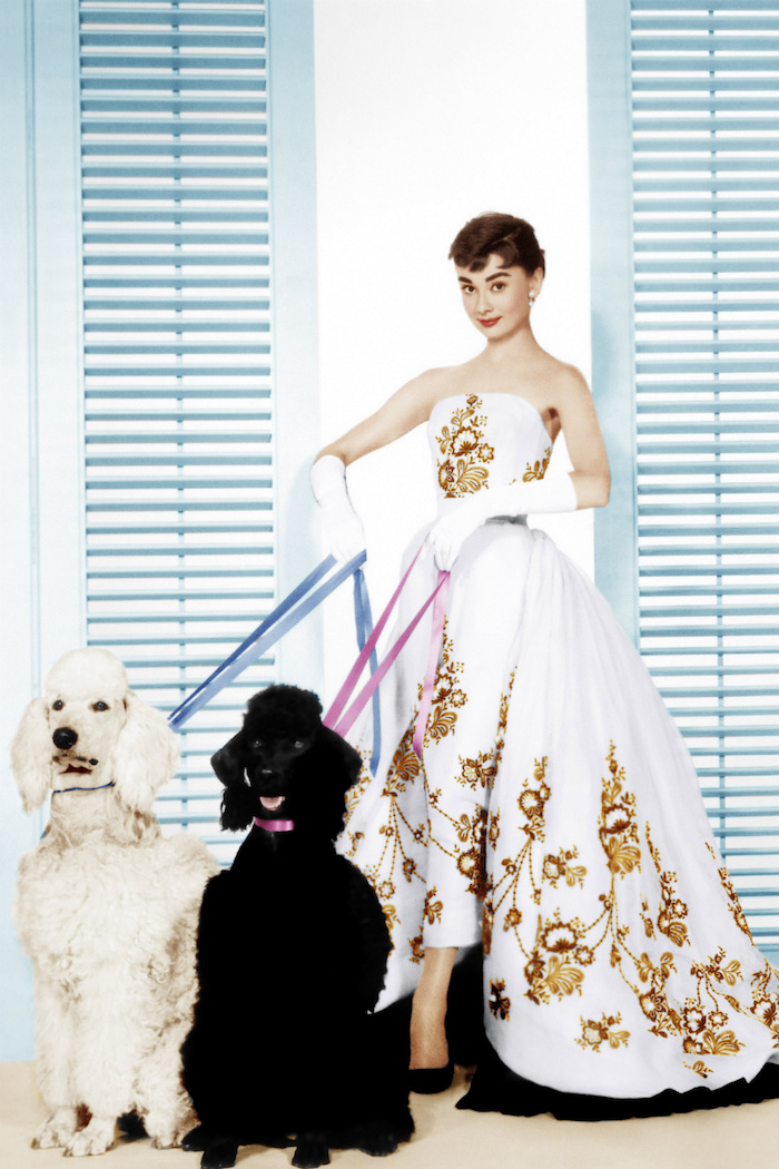 Audrey Hepburn dans une robe de princesse courte devant longue derrière, deux chiens caniche blanc et noir, robe détailles dorées, gants longues blanches 