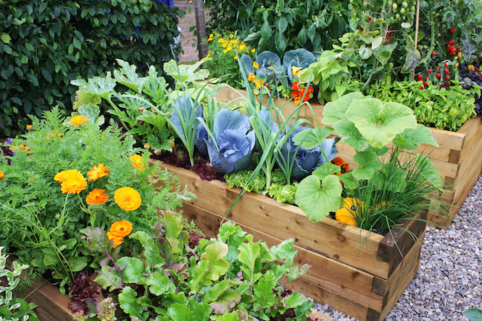 bac à fleurs et bac potager en bois recyclé, idée comment cultiver des légumes dans son jardin