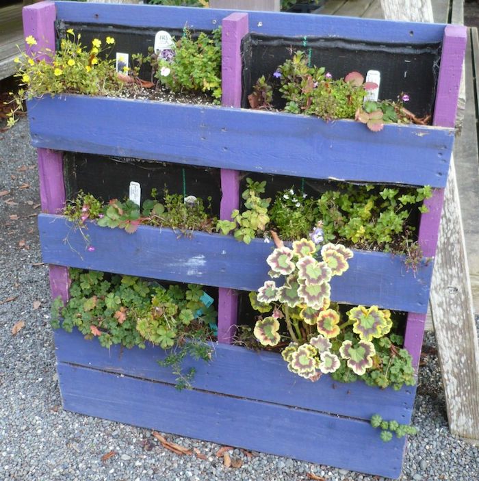 jardiniere en palette repeinte en violet et bleu foncé, idée comment fabriquer un rangement pour plantes