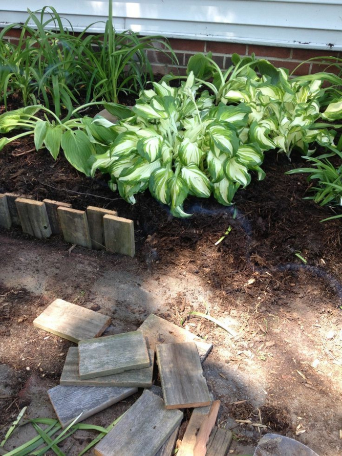 bordure bois, création de parterre de jardin, plantes vertes, petites découpes de planches fixées verticalement