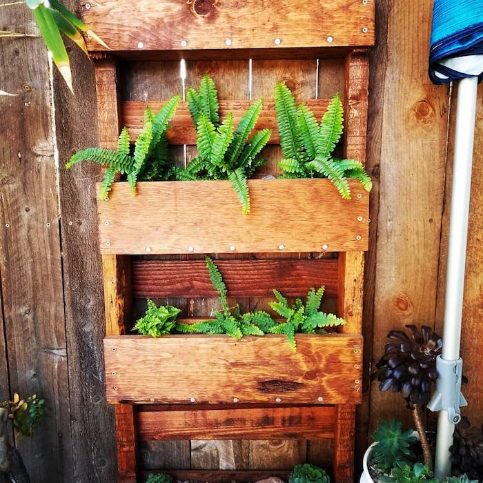 idee d habillage mur vegetal exterieur avec des plantes vertes plantées en bac et accrochés sur une palissade